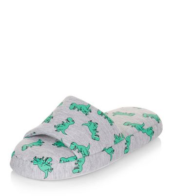 dinosaur slippers womens