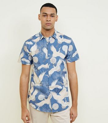 blue shirt cream chinos