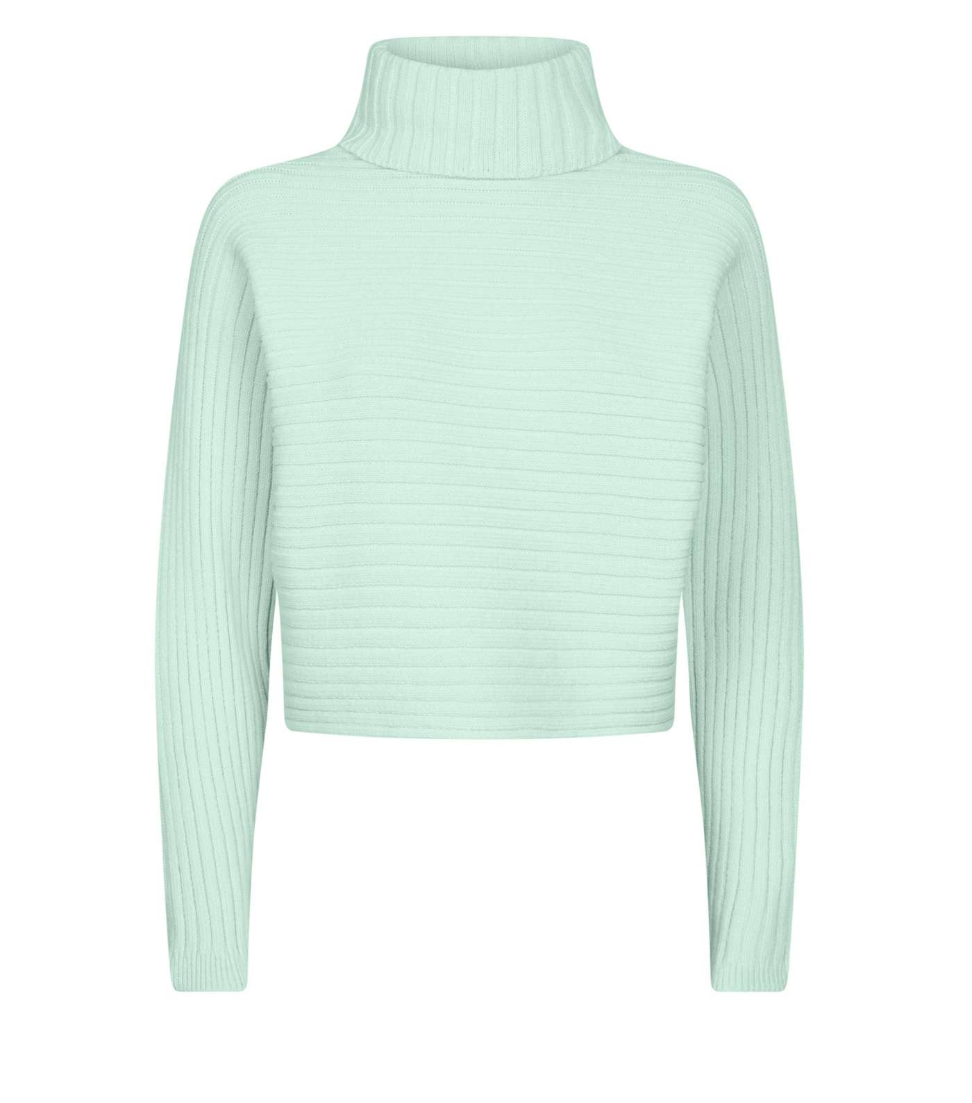 Mint Green Roll Neck Boxy Cropped Jumper  Image 4