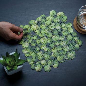 brussel sprout jigsaw