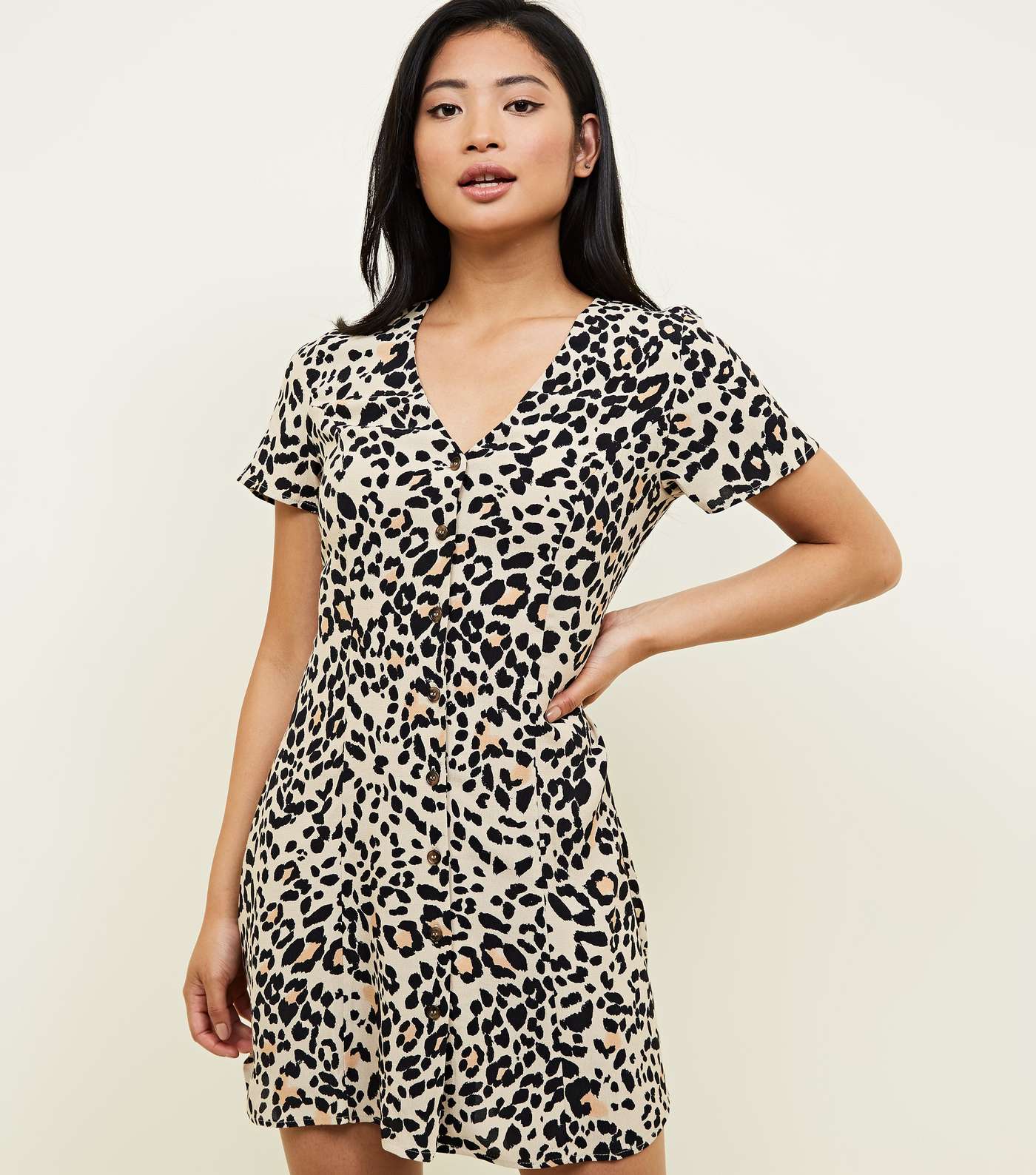 Petite Brown Leopard Print Tea Dress
