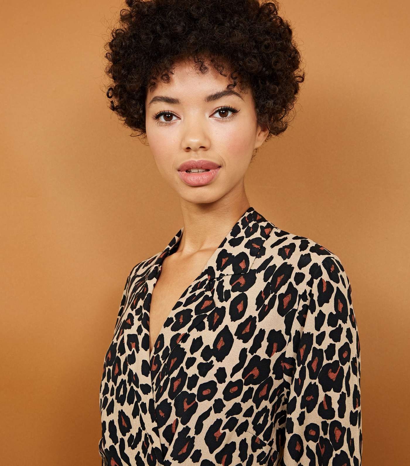 Brown Leopard Print Double Breasted Shirt Dress Image 2