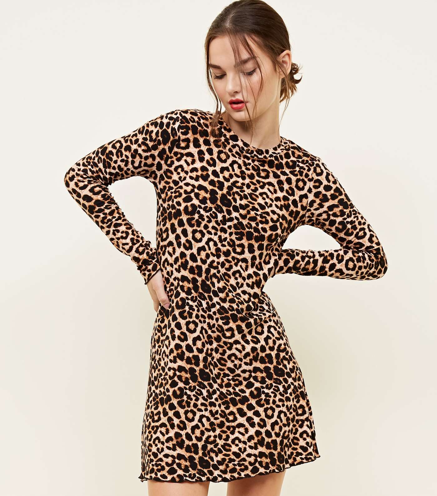 Petite Brown Leopard Print Soft Touch Mini Dress Image 2