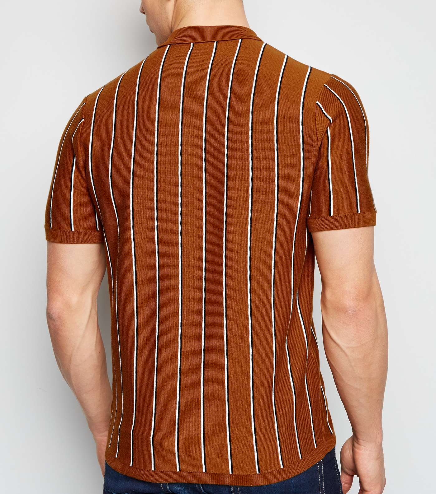 Tan Vertical Stripe Polo Shirt Image 3