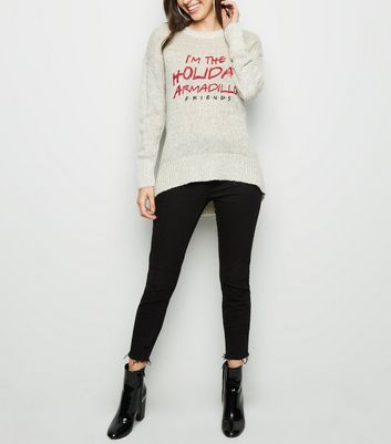 holiday armadillo christmas jumper