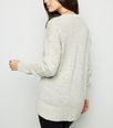 Pale Grey Friends Holiday Armadillo Christmas Jumper New Look