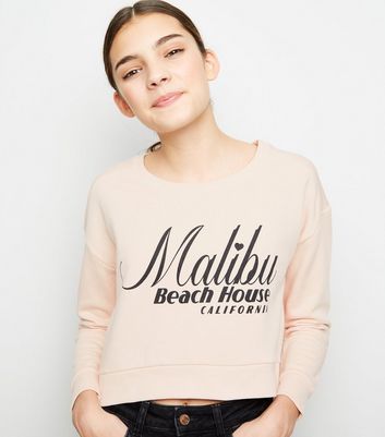 pale pink sweatshirt ladies