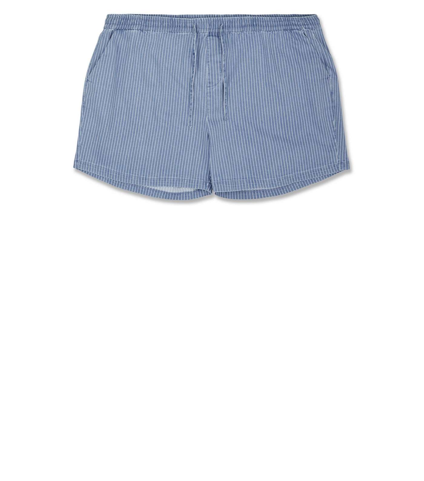 Plus Size Blue Vertical Stripe Drawstring Shorts Image 4