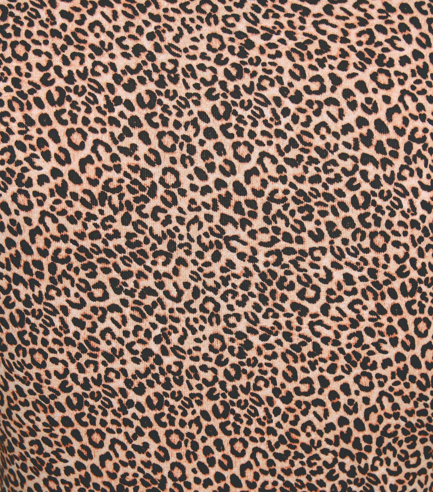 Tall Brown Leopard Print Long Sleeve Top Image 5