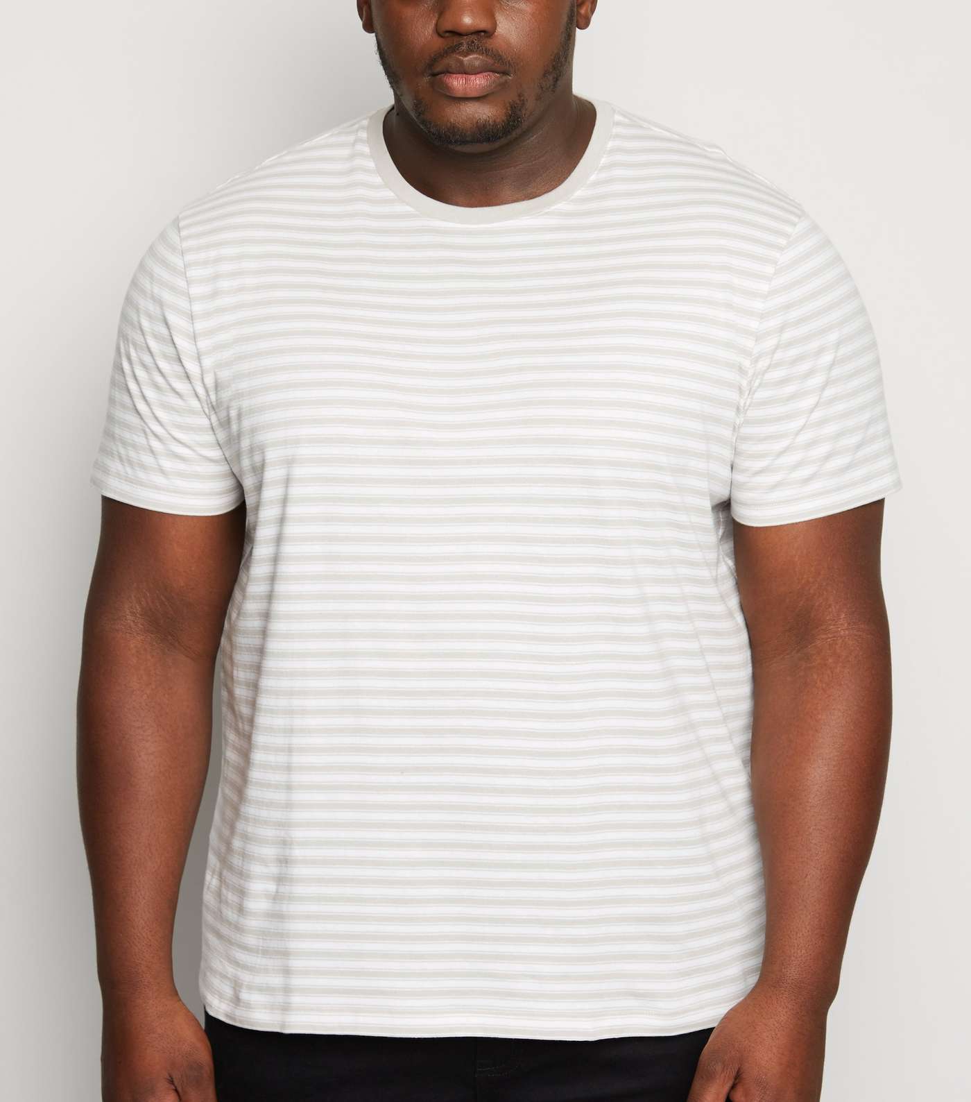 Plus Size Pale Grey Stripe Crew Neck T-Shirt
