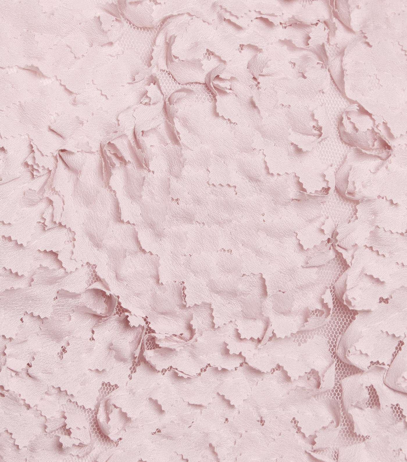 Cameo Rose Pale Pink Textured Crop Top Image 5