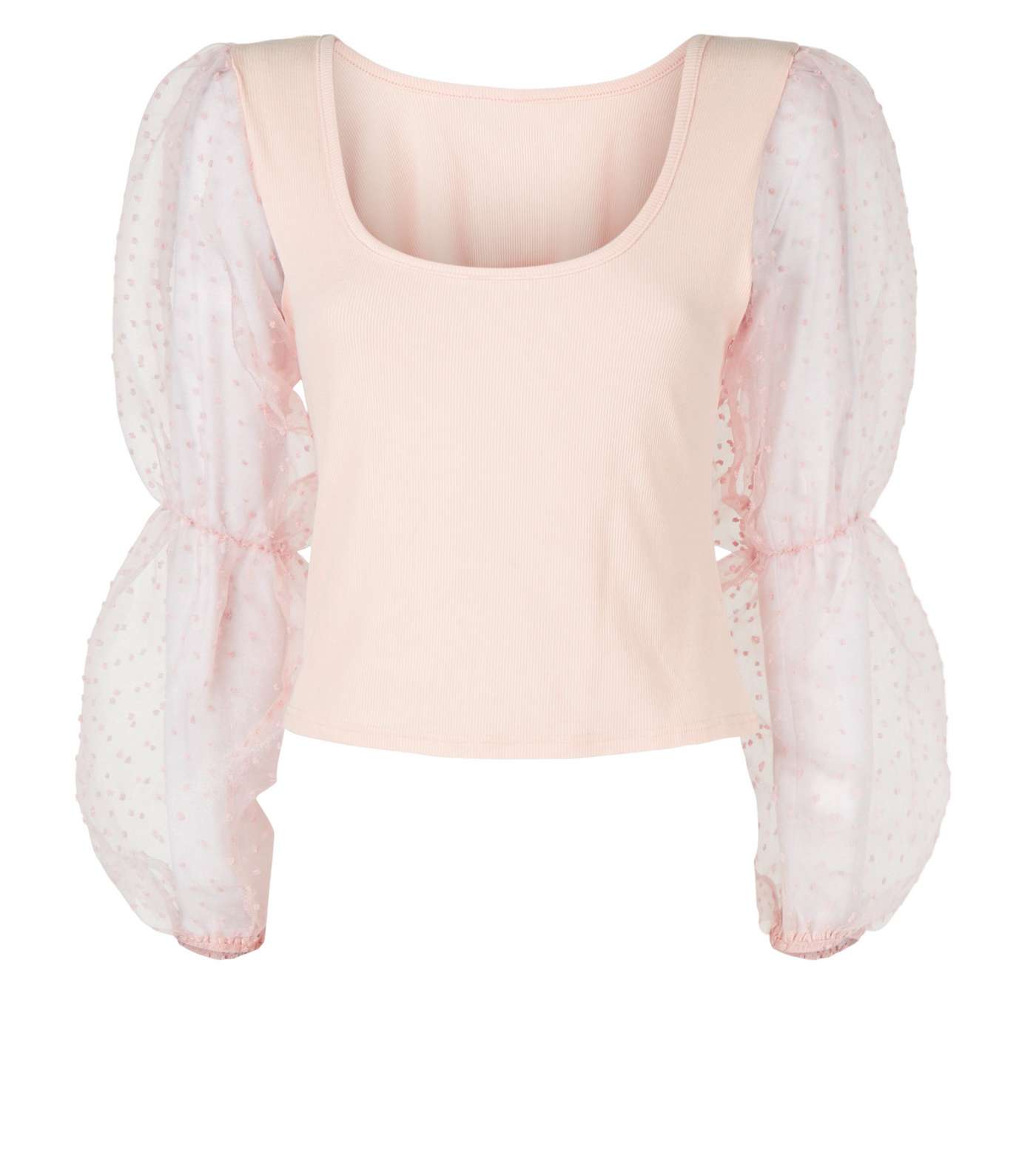 Cameo Rose Pale Pink Mesh Puff Sleeve Top Image 4