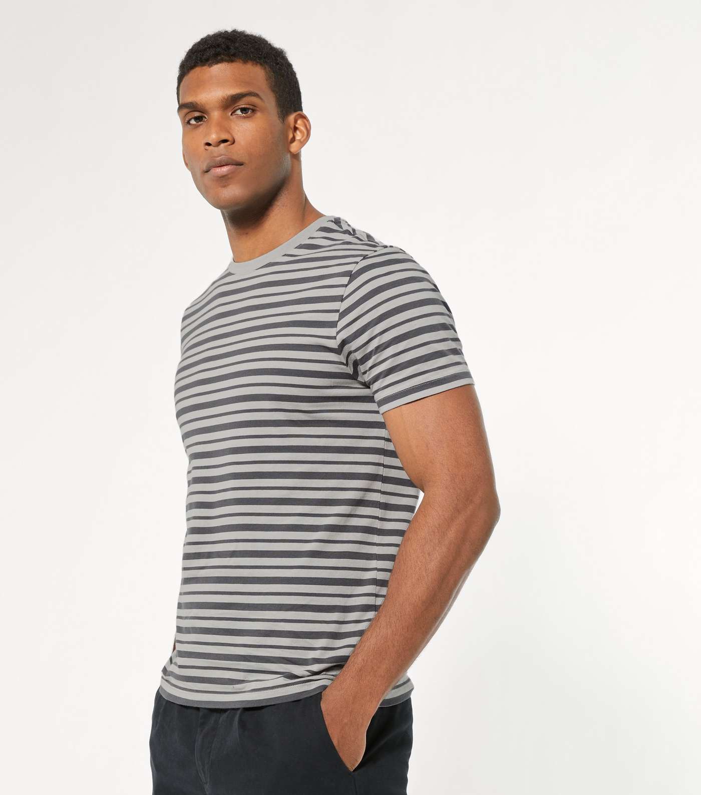 Pale Grey Stripe Short Sleeve T-Shirt 