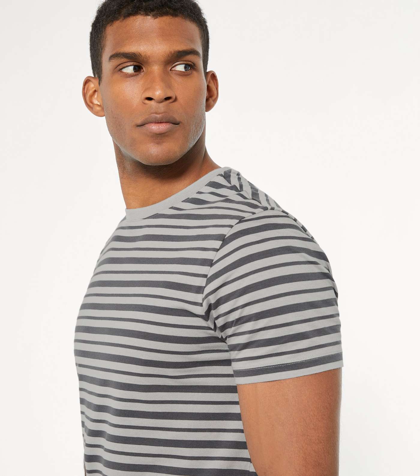 Pale Grey Stripe Short Sleeve T-Shirt  Image 3