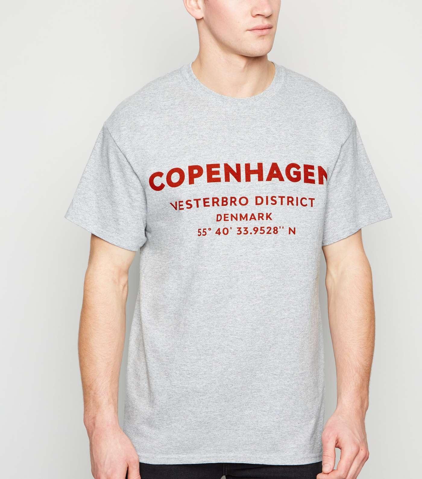 Grey Oversized Copenhagen Slogan T-Shirt