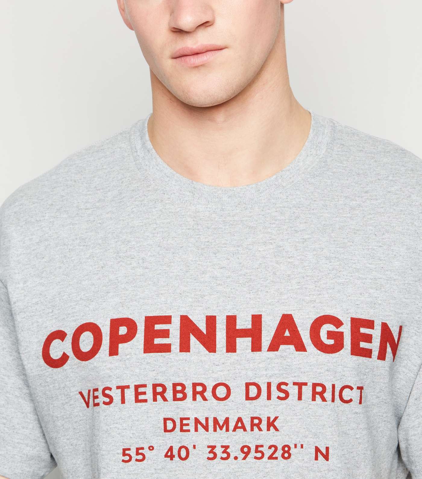 Grey Oversized Copenhagen Slogan T-Shirt Image 5