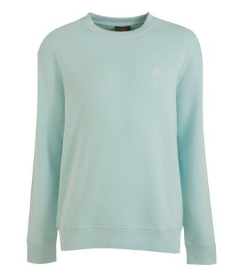 mens mint green sweatshirt