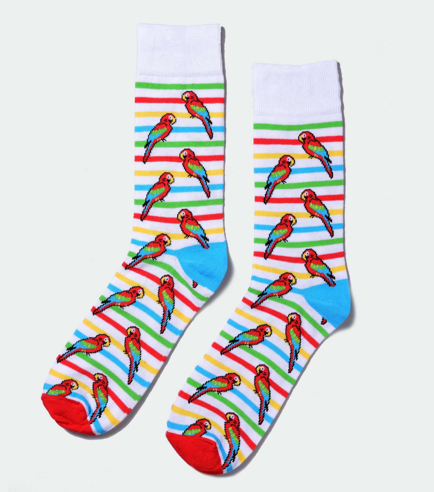 White Rainbow Stripe Parrot Socks