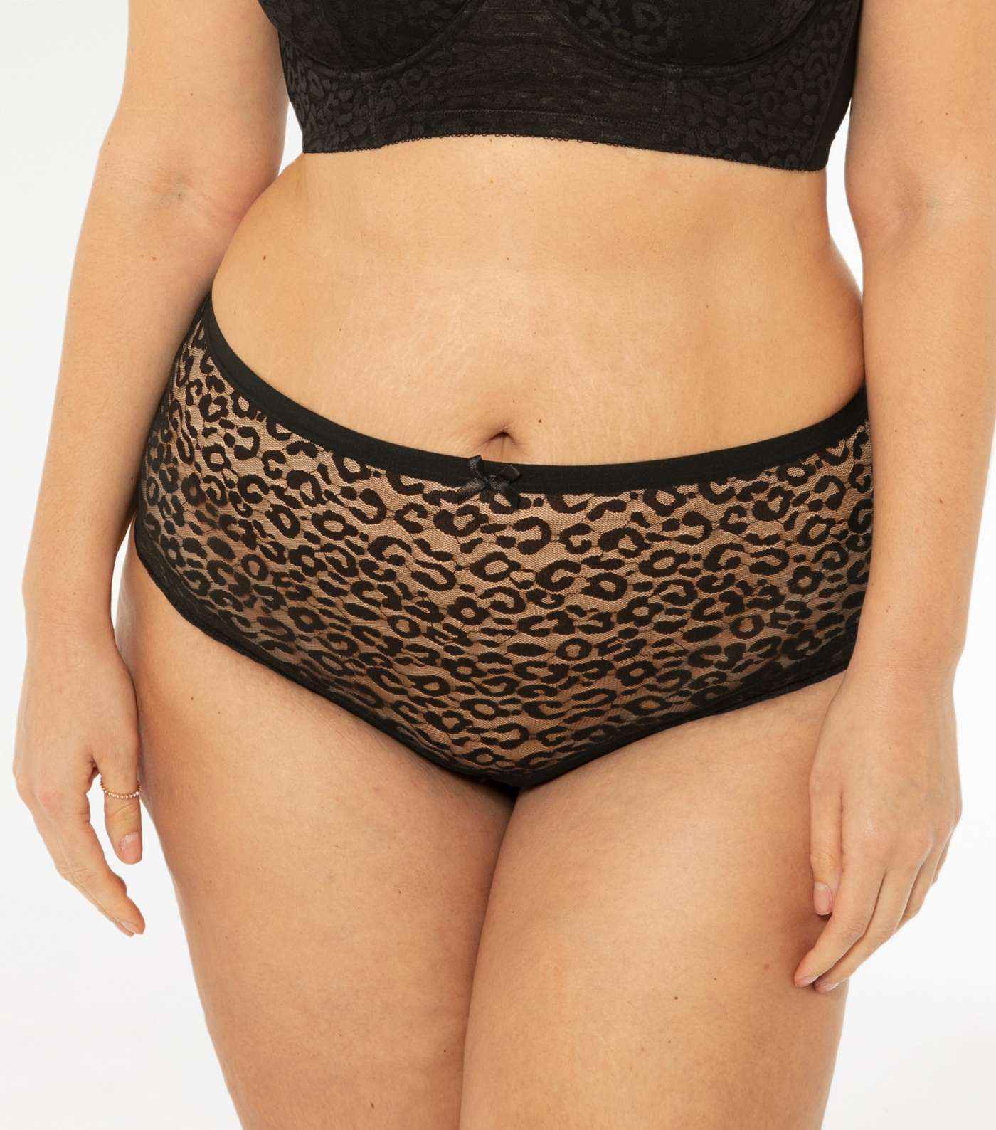 Curves Black Leopard Lace Briefs 