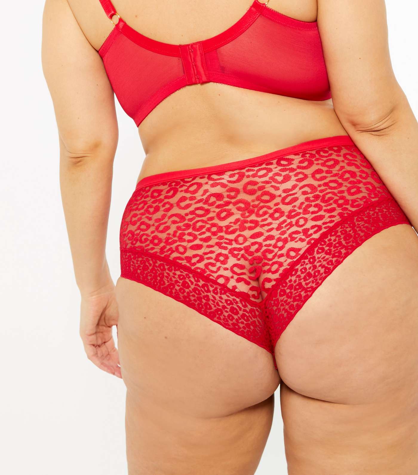 Curves Red Leopard Lace Briefs  Image 3