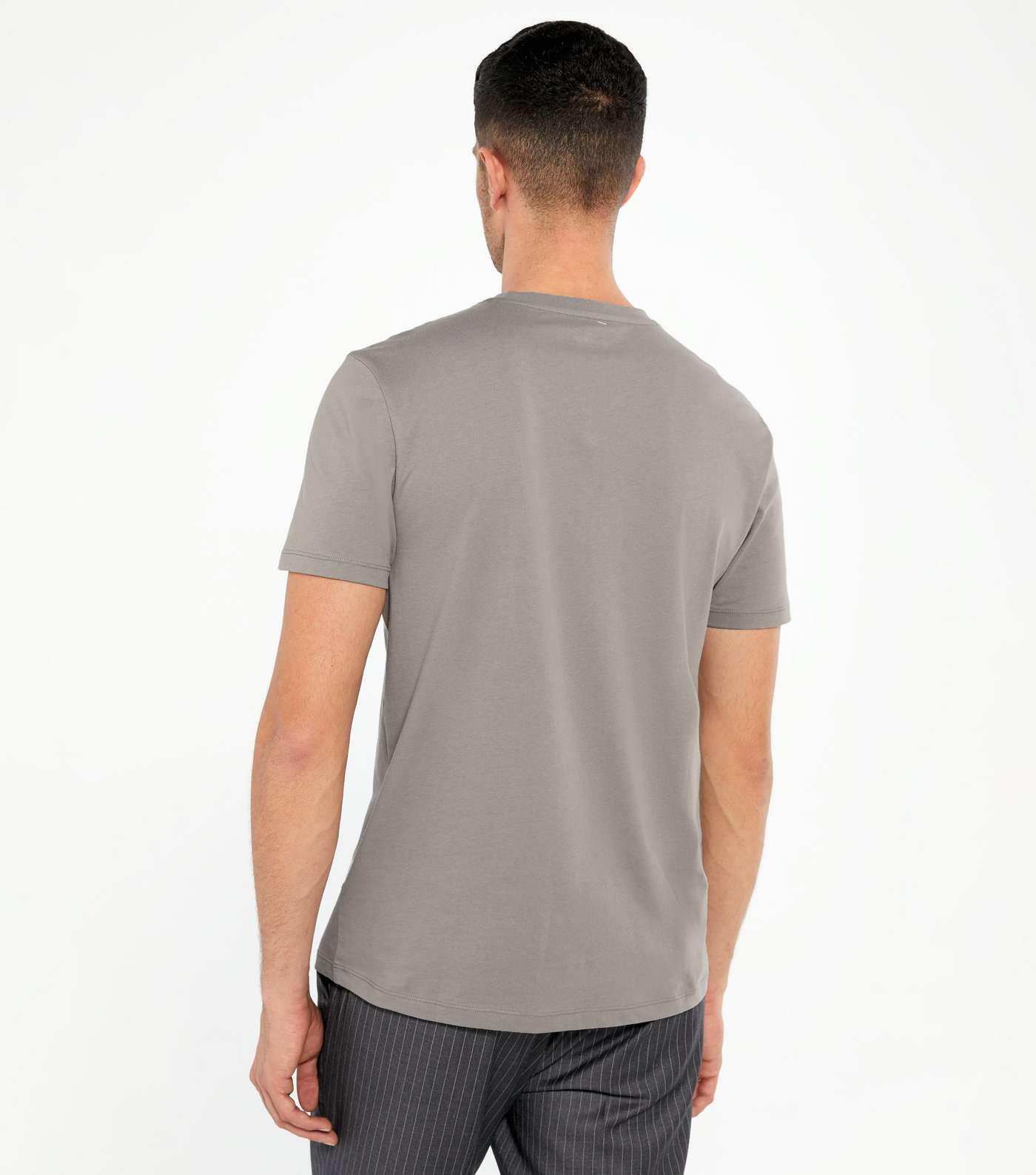 Pale Grey Regular Fit Crew T-Shirt Image 4