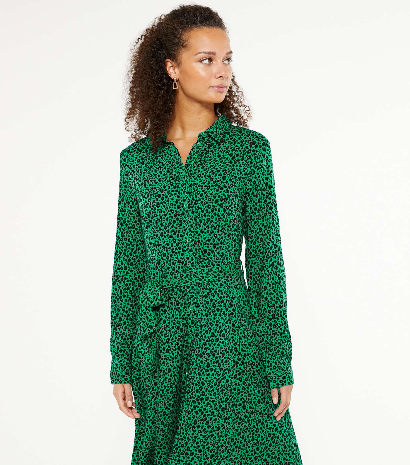 Green Animal Print Long Sleeve Midaxi Dress Image 4