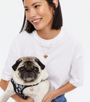 Dog tag and necklace set store