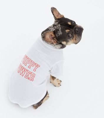 dog shirt mockup