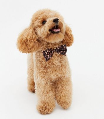 goldendoodle bow tie