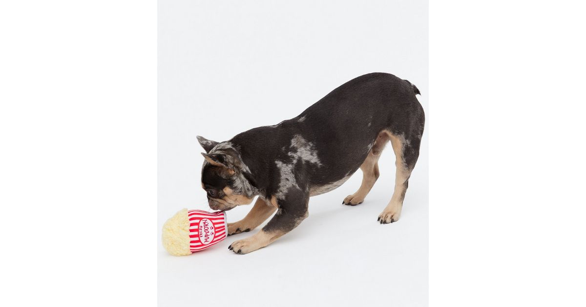 Red Popcorn Dog Toy New Look