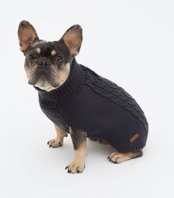 New look hotsell dog jumper