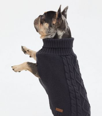 new look dog jumpers