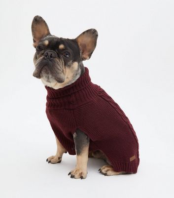 new look dog jumpers