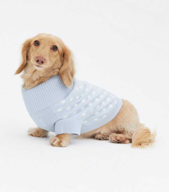 new look dog t shirt