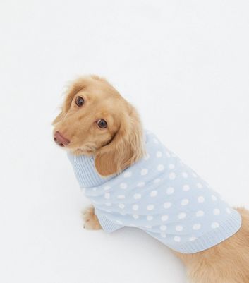 new look dog jumpers