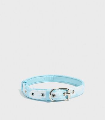 sky dog collar