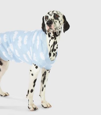 blue dog jumper