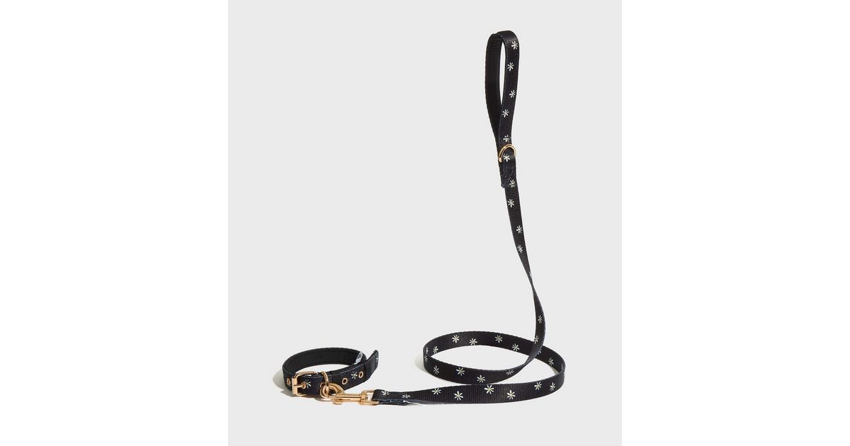 Skinnydip Black Daisy Dog Lead New Look