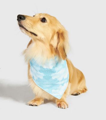 Skinnydip Pale Blue Cloudy Sky Dog 
