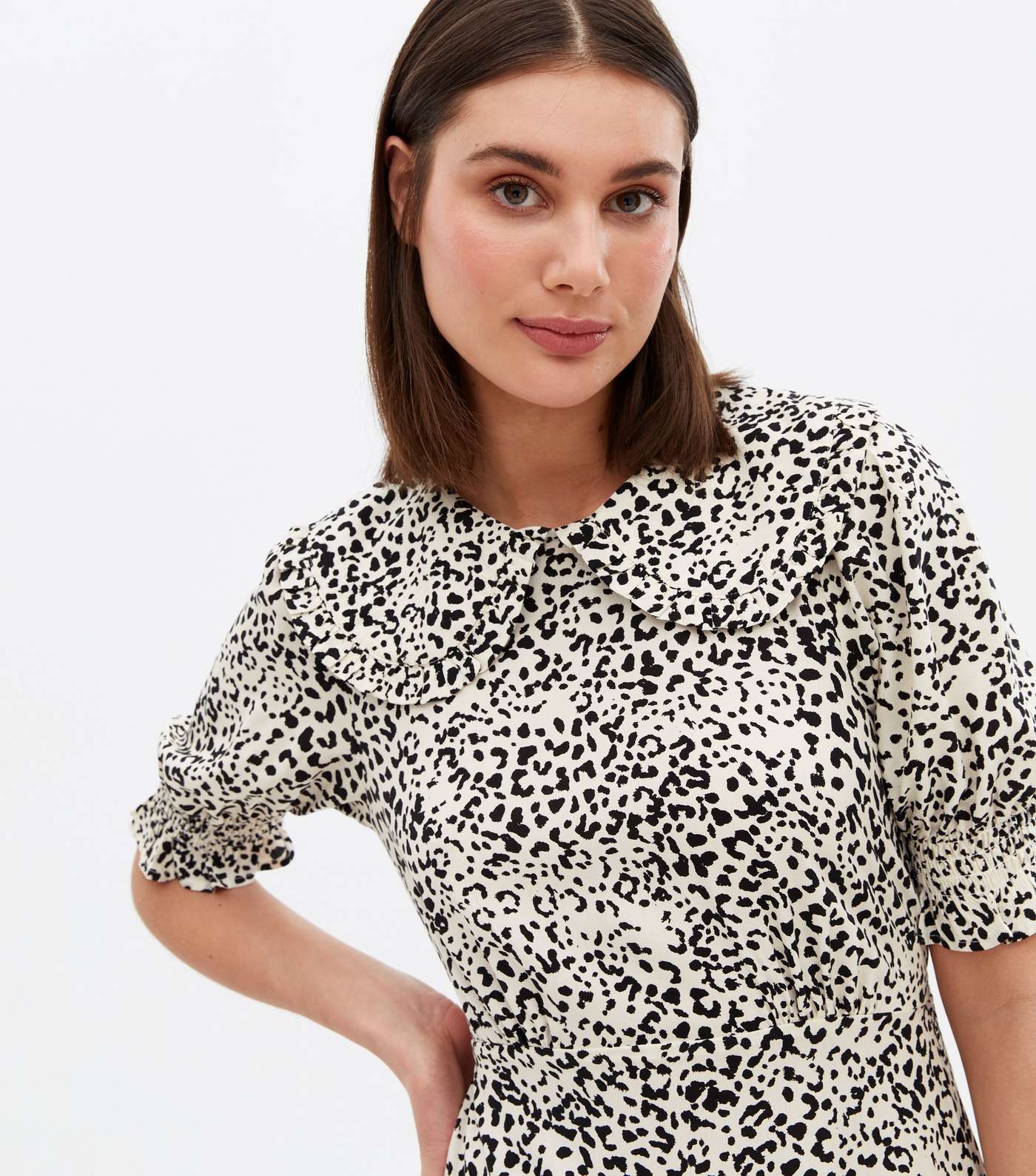 Off White Leopard Print Frill Collar Midi Dress Image 2