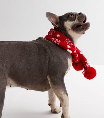 New Look Red Christmas Pom Pom Dog Scarf