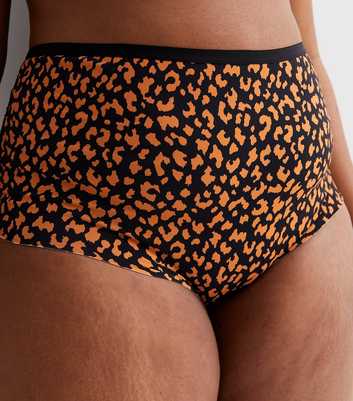 Curves 3 Pack Brown and Black Leopard Print Lace Briefs