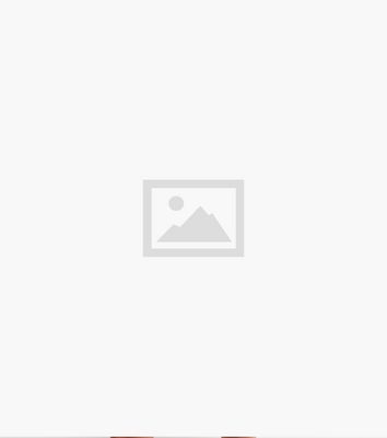 Black Zebra Short Puff Sleeve Mini Shirt Dress