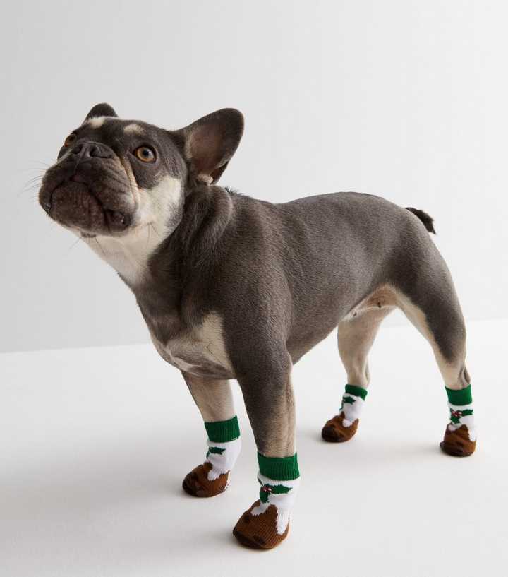https://media3.newlookassets.com/i/newlook/833278329/womens/accessories/accessories-gifts/gifts-for-pets/brown-christmas-pudding-dog-socks.jpg?strip=true&qlt=50&w=720