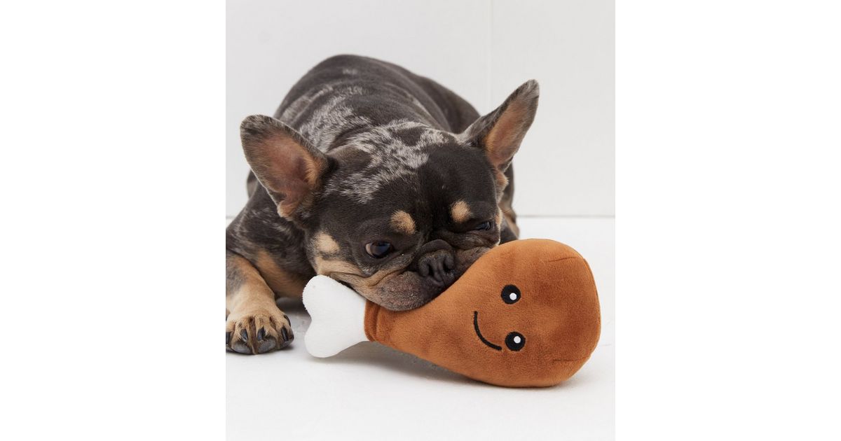 Brown Chicken Leg Dog Toy New Look