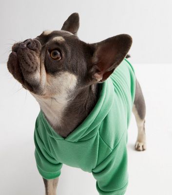 American apparel dog on sale hoodie