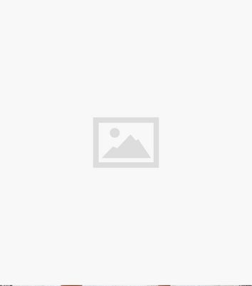 AX Paris Navy Animal Print Belted Mini Wrap Dress