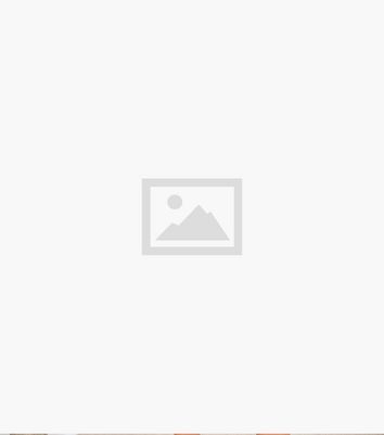 AX Paris Light Brown Zebra Print Long Sleeve Mini Skater Dress