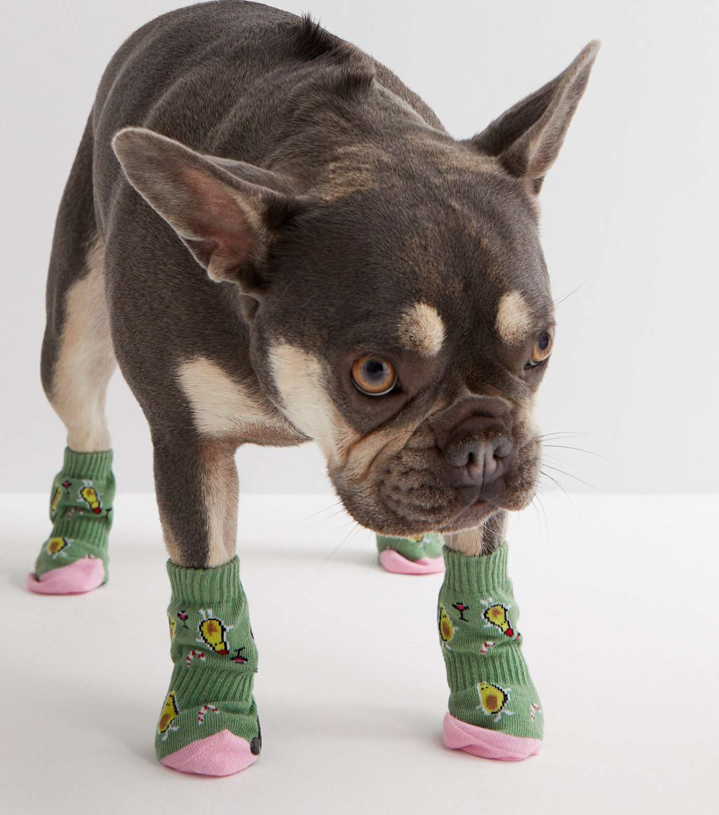 Green Avocado Matching Dog & Owner Christmas Socks Image 2