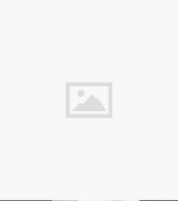 Blue Vanilla Brown Leopard Print Satin Long Puff Sleeve Blouse